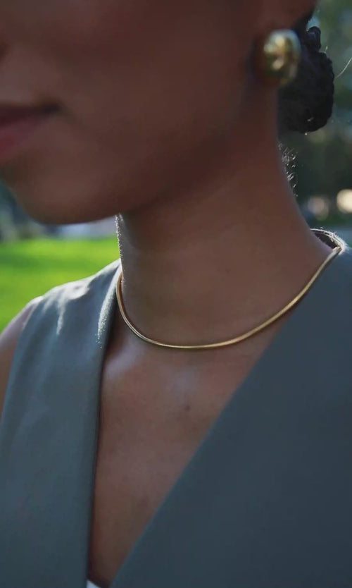 Paul Valentine Avenue Snake Necklace