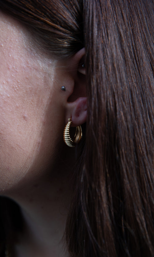 Paul Valentine Avenue Structure Hoops