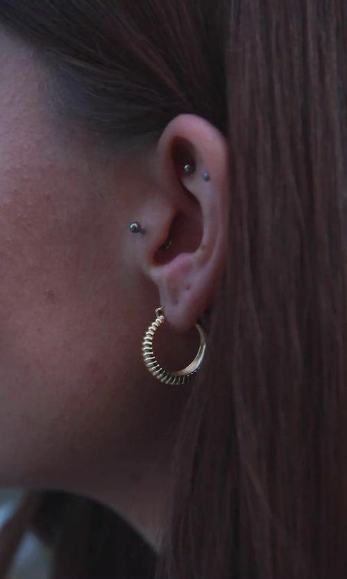 Paul Valentine Avenue Structure Hoops