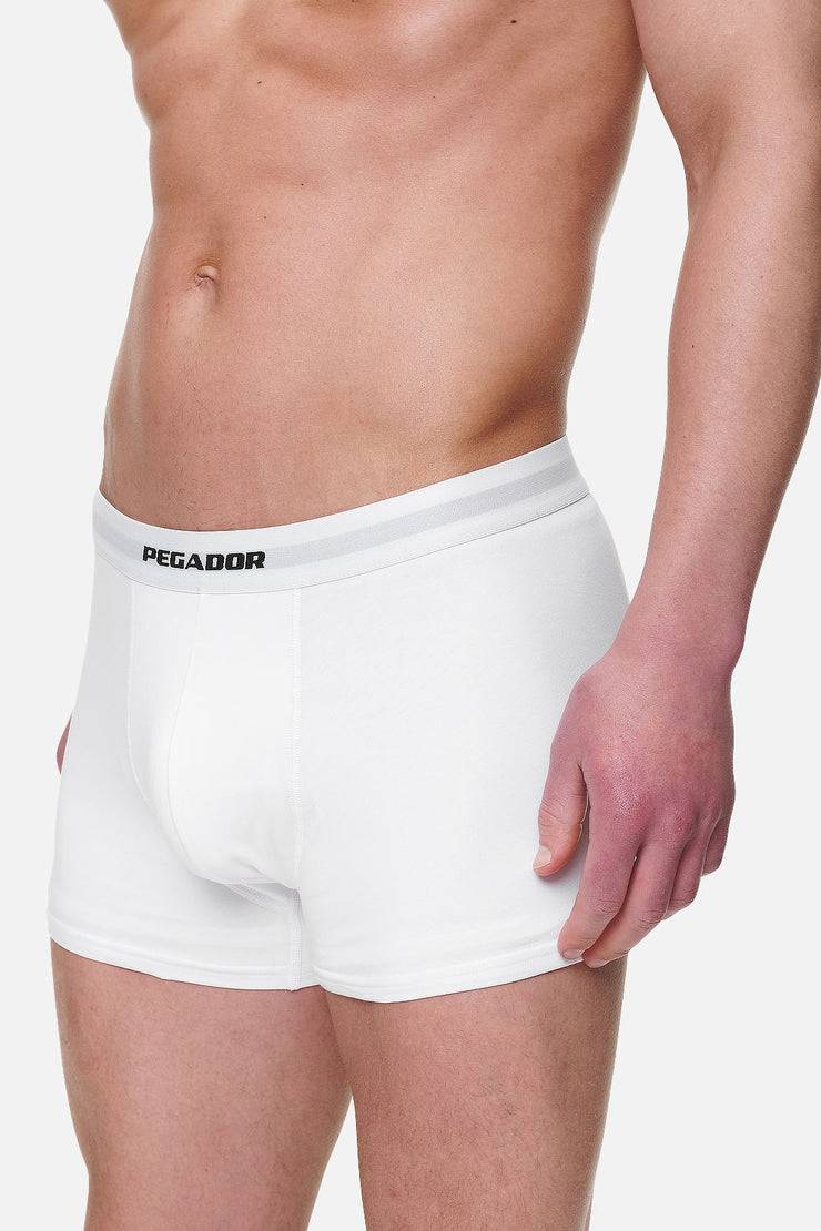 Pegador Camino Boxershorts Single Logo 3 Pack White White