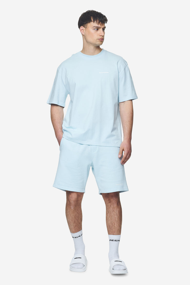 Pegador Logo Oversized Tee Washed Baby Blue White Gum