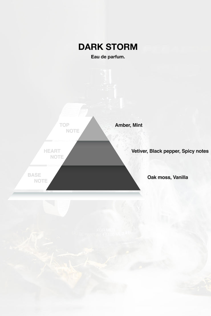 Pegador Dark Storm Eau De Parfum - 100ml