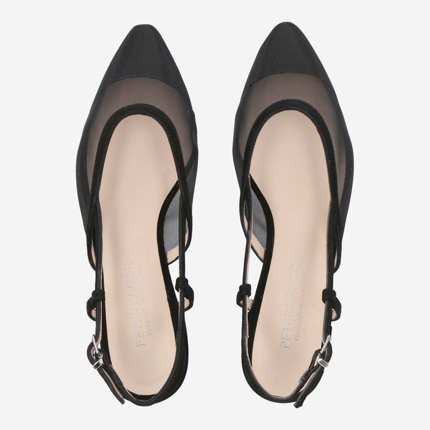 Peter Kaiser 21587 068 ALENJA-PK