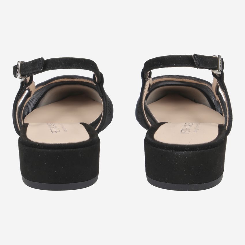 Peter Kaiser 21587 068 ALENJA-PK