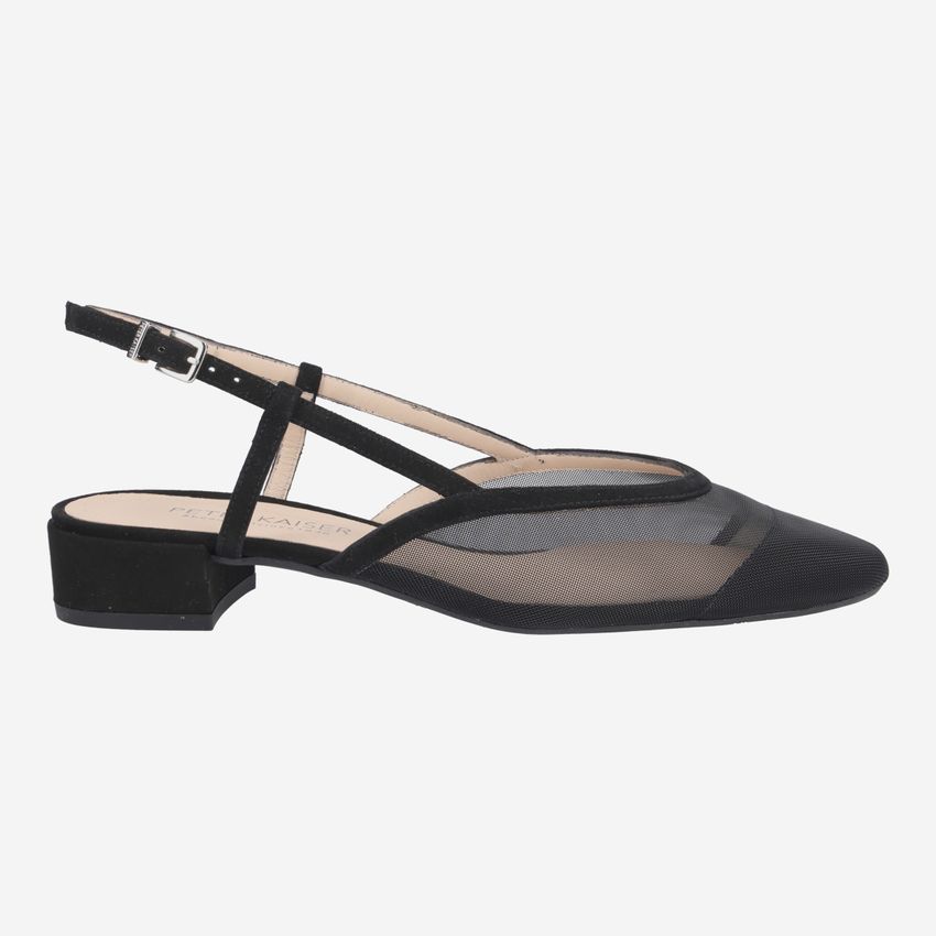 Peter Kaiser 21587 068 ALENJA-PK