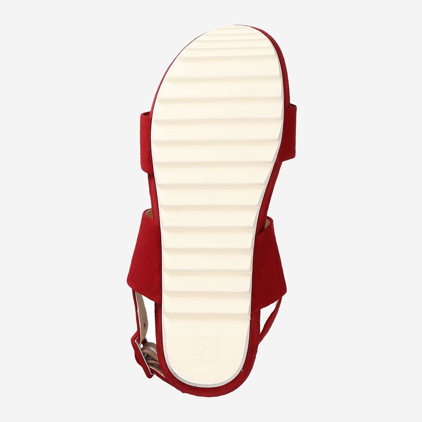 Peter Kaiser 88301 559 ALOISA