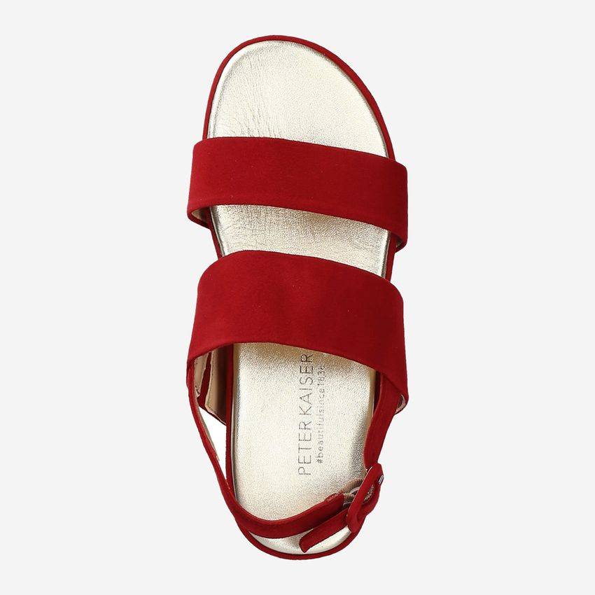 Peter Kaiser 88301 559 ALOISA