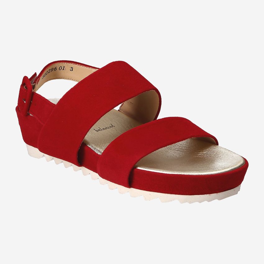 Peter Kaiser 88301 559 ALOISA