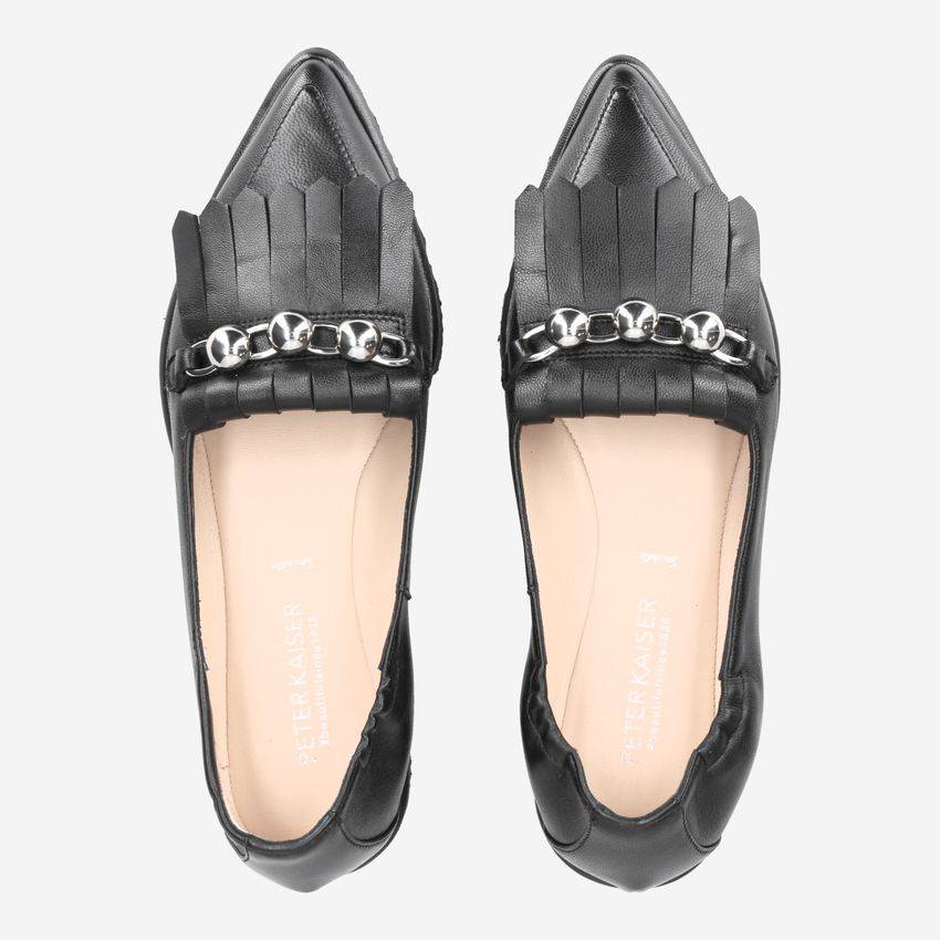 Peter Kaiser VELMA-PK