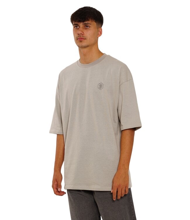 Picaldi Oversize T-Shirt EVIDENT Grey
