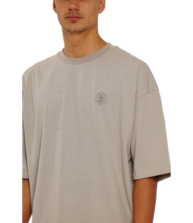 Picaldi Oversize T-Shirt EVIDENT Grey