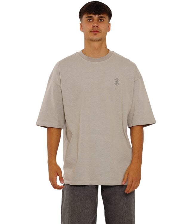 Picaldi Oversize T-Shirt EVIDENT Grey