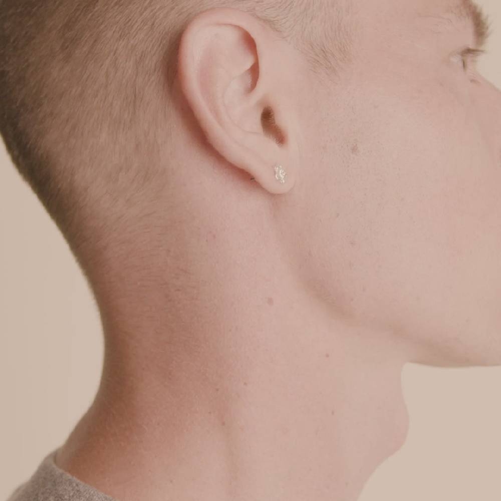 Pilgrim OCTAVIA Recycelte Kleeblatt-Ohrringe Versilbert