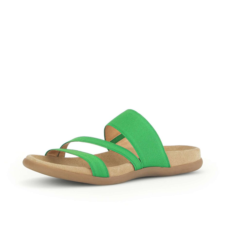 Pius Gabor Pantolette Grün