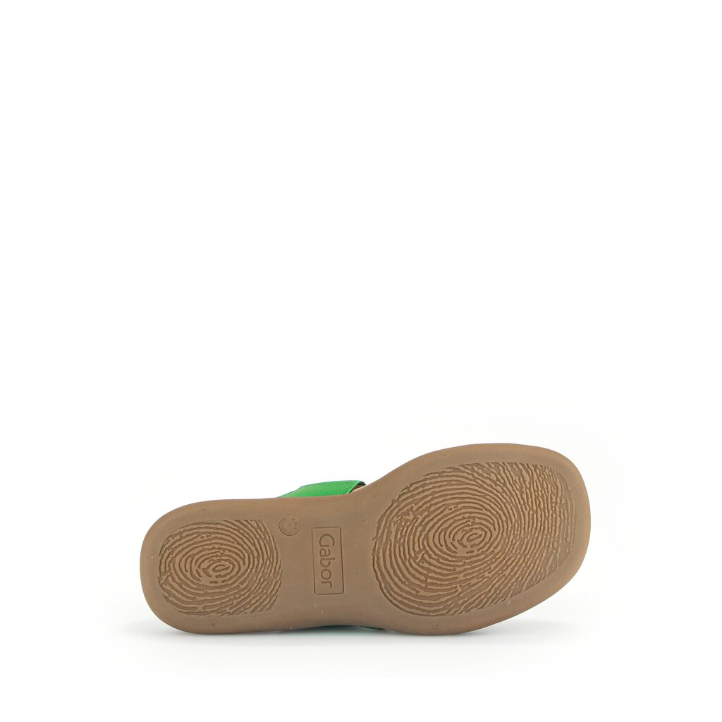 Pius Gabor Pantolette Grün