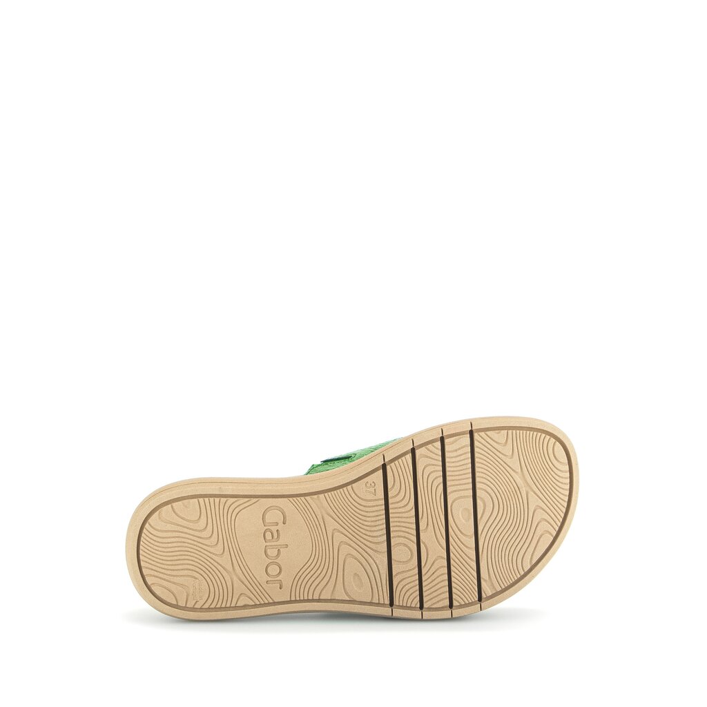 Pius Gabor Pantolette Grün