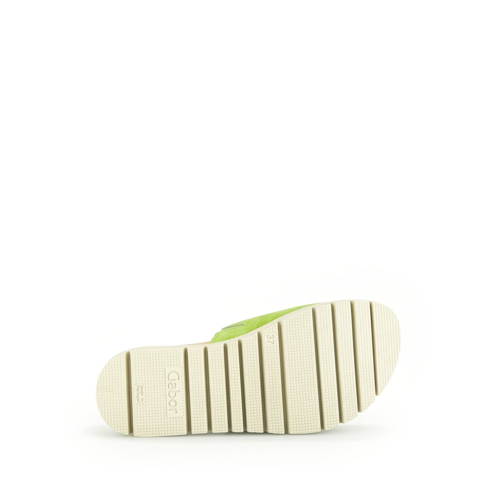 Pius Gabor Pantolette Grün