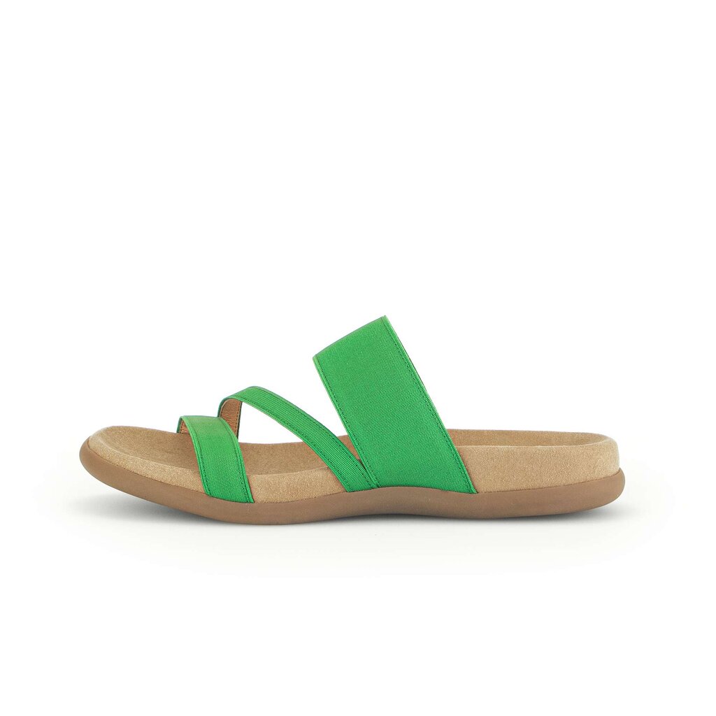 Pius Gabor Pantolette grün
