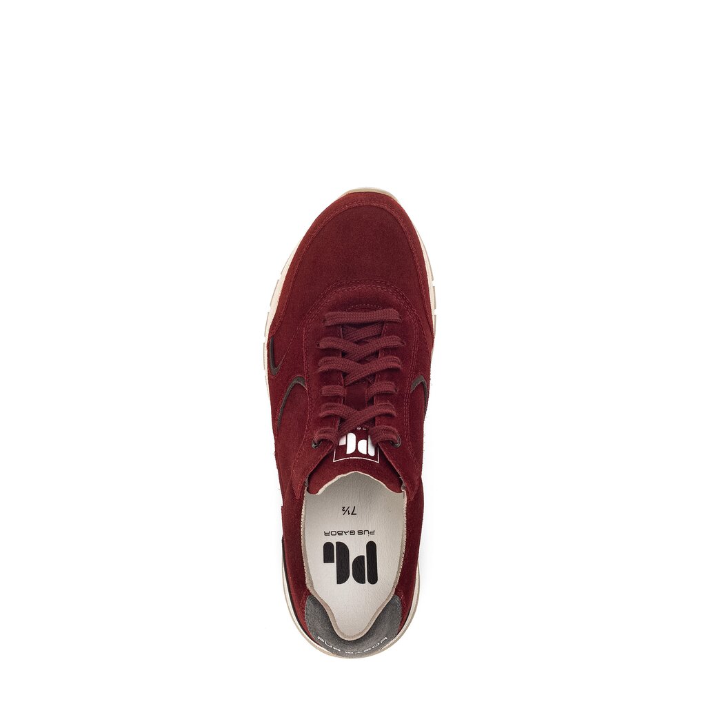 Pius Gabor Pius Gabor Sneaker Low Rot
