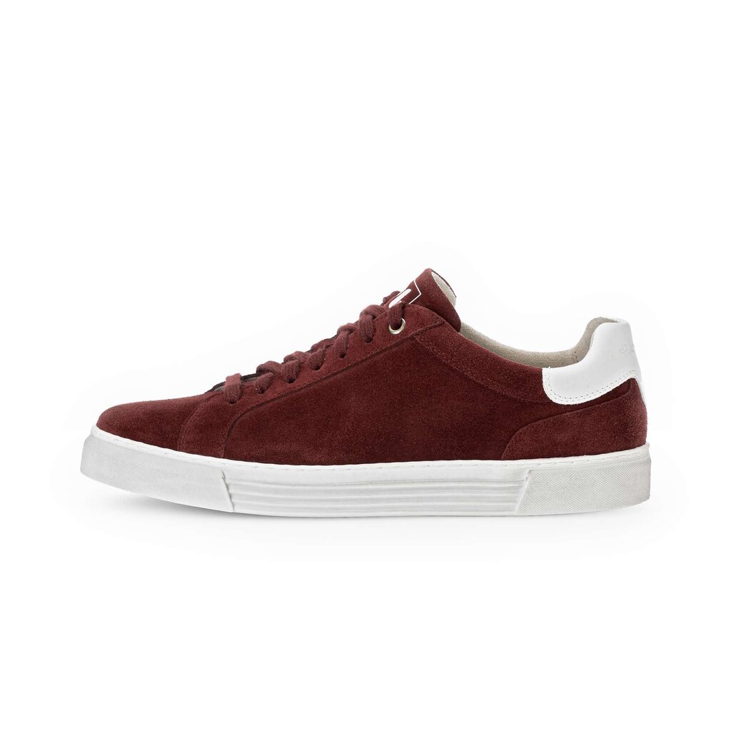 Pius Gabor Pius Gabor Sneaker low rot