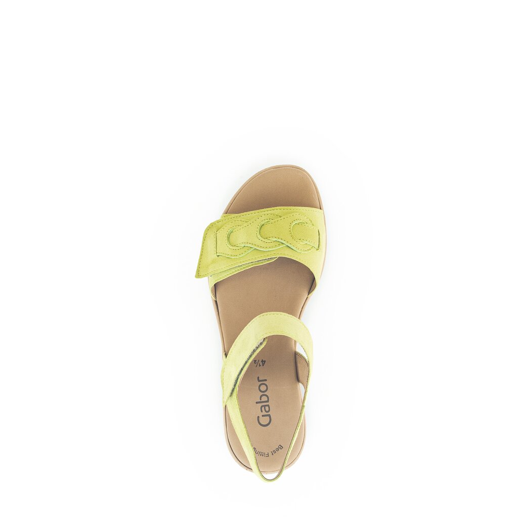 Pius Gabor Plateau Sandale Grün