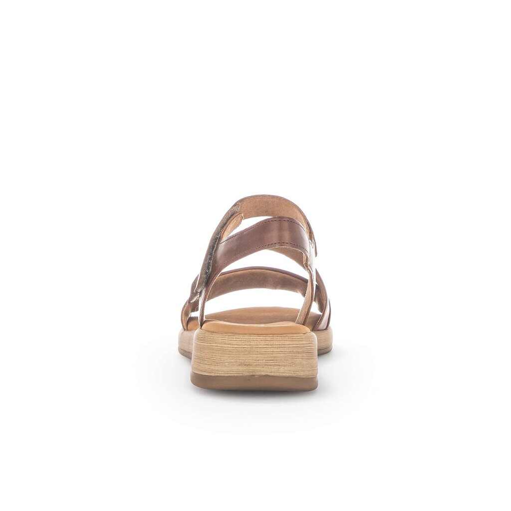 Pius Gabor Riemchensandale Braun