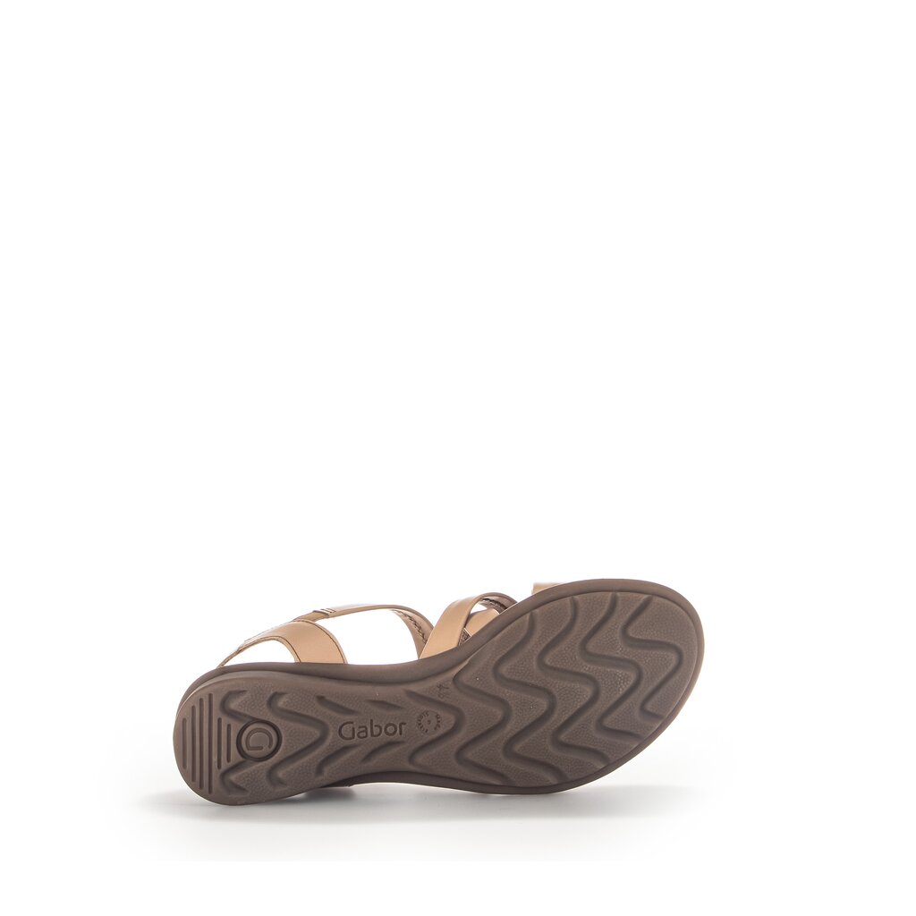 Pius Gabor Riemchensandale Braun
