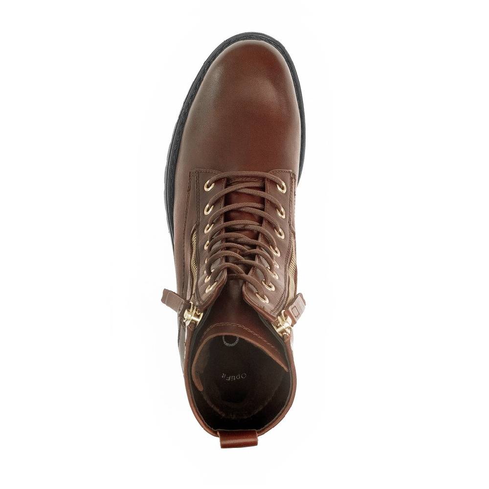 Pius Gabor Schnürstiefelette Braun