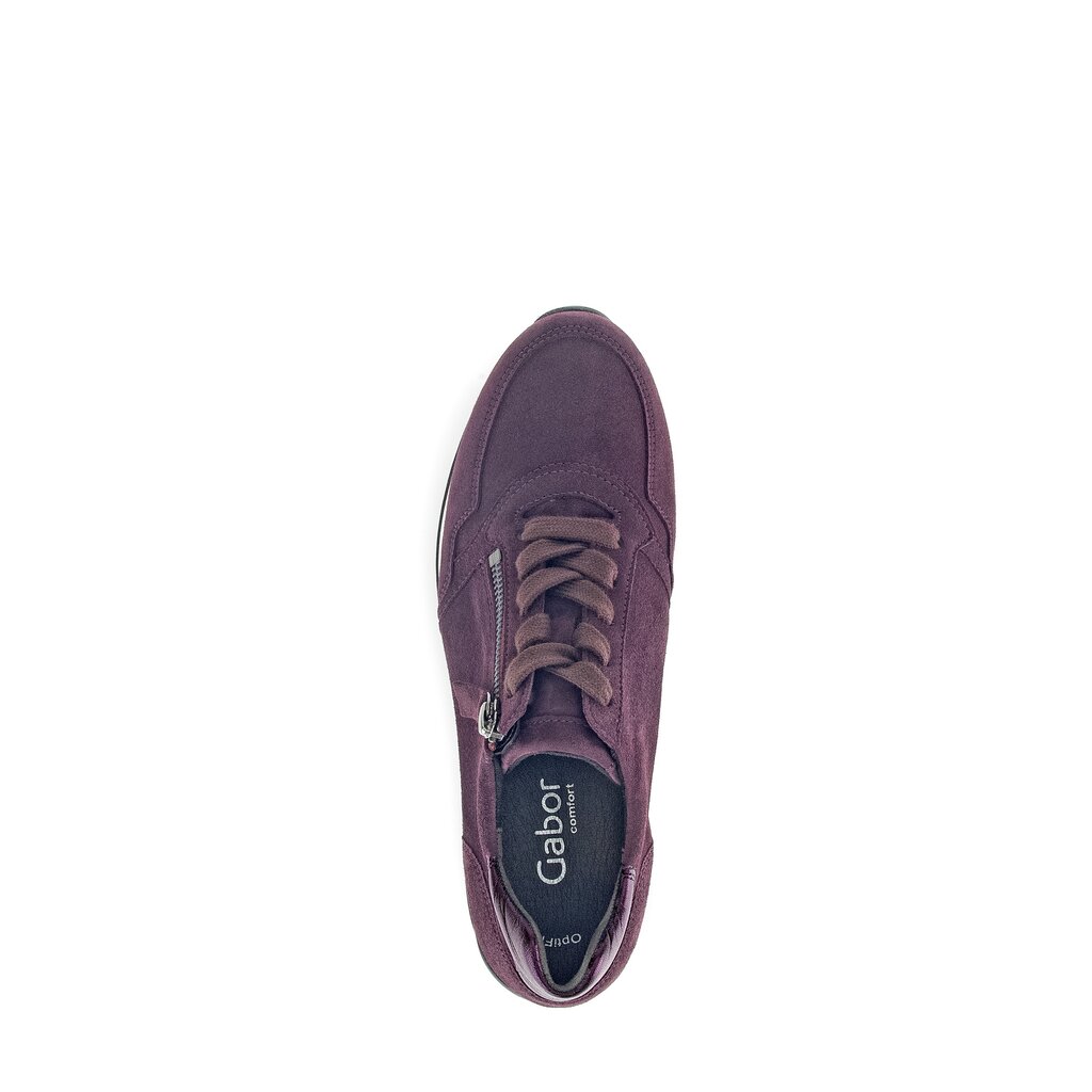Pius Gabor Sneaker Low Lila