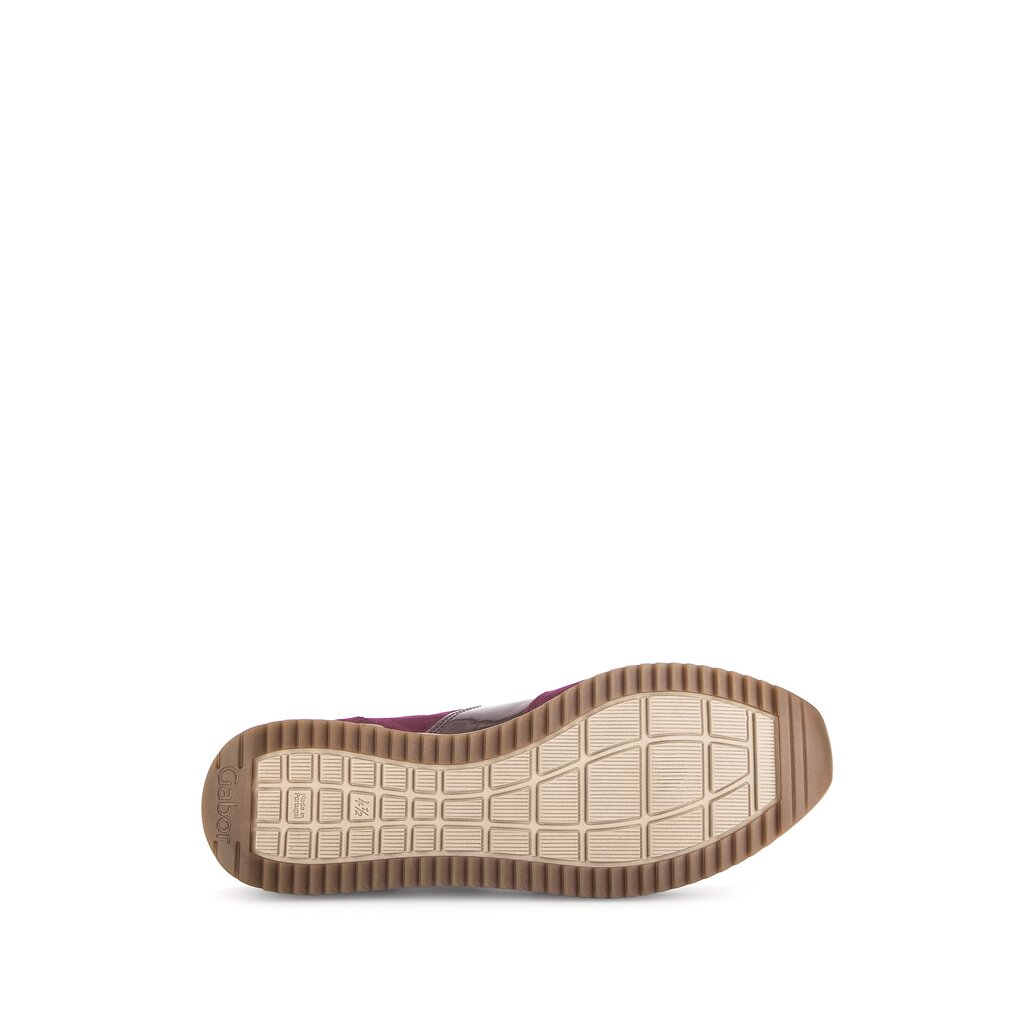 Pius Gabor Sneaker Low Lila