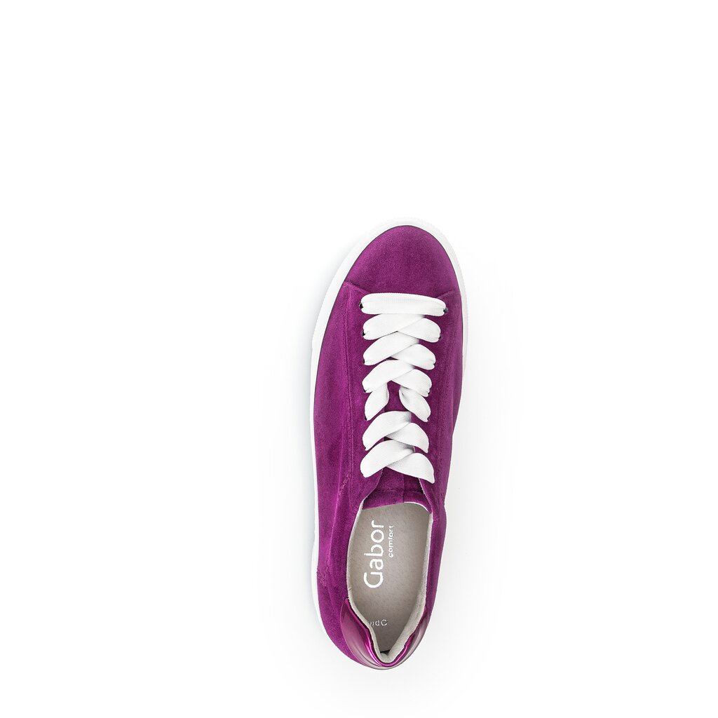 Pius Gabor Sneaker Low Lila