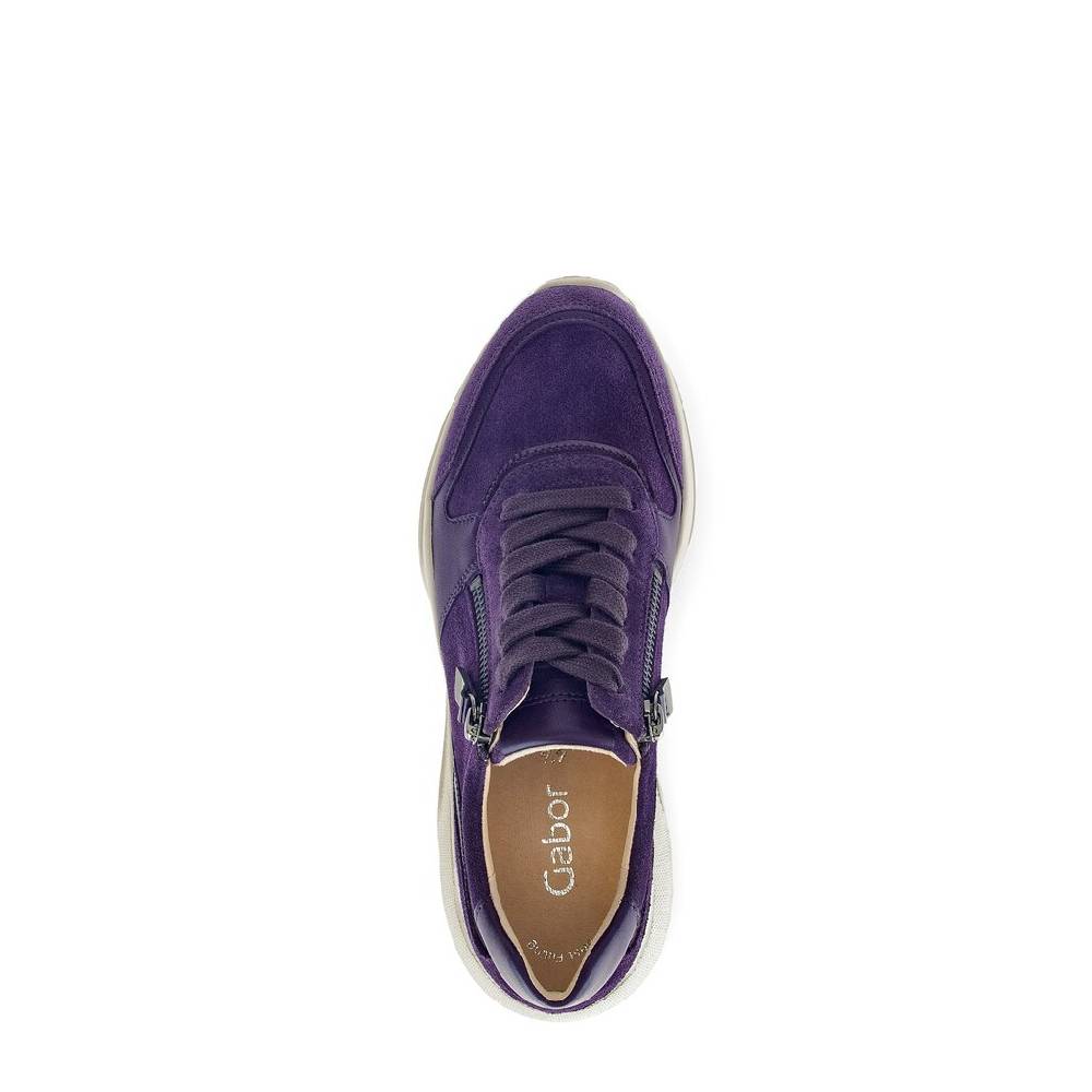 Pius Gabor Sneaker Low Lila