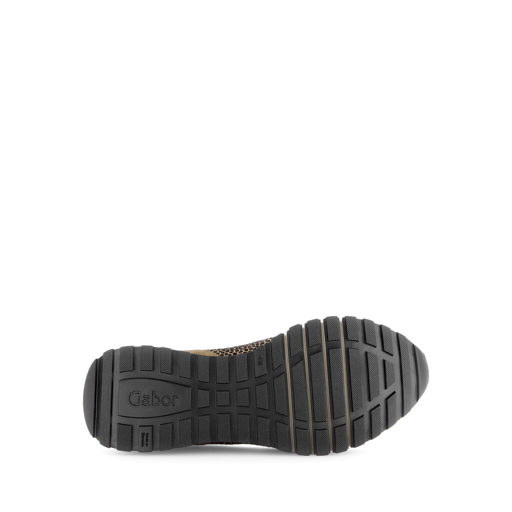 Pius Gabor Sneaker Low Multicolour