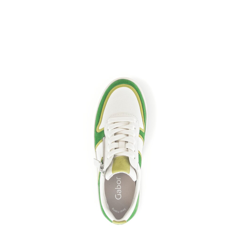 Pius Gabor Sneaker Low Multicolour