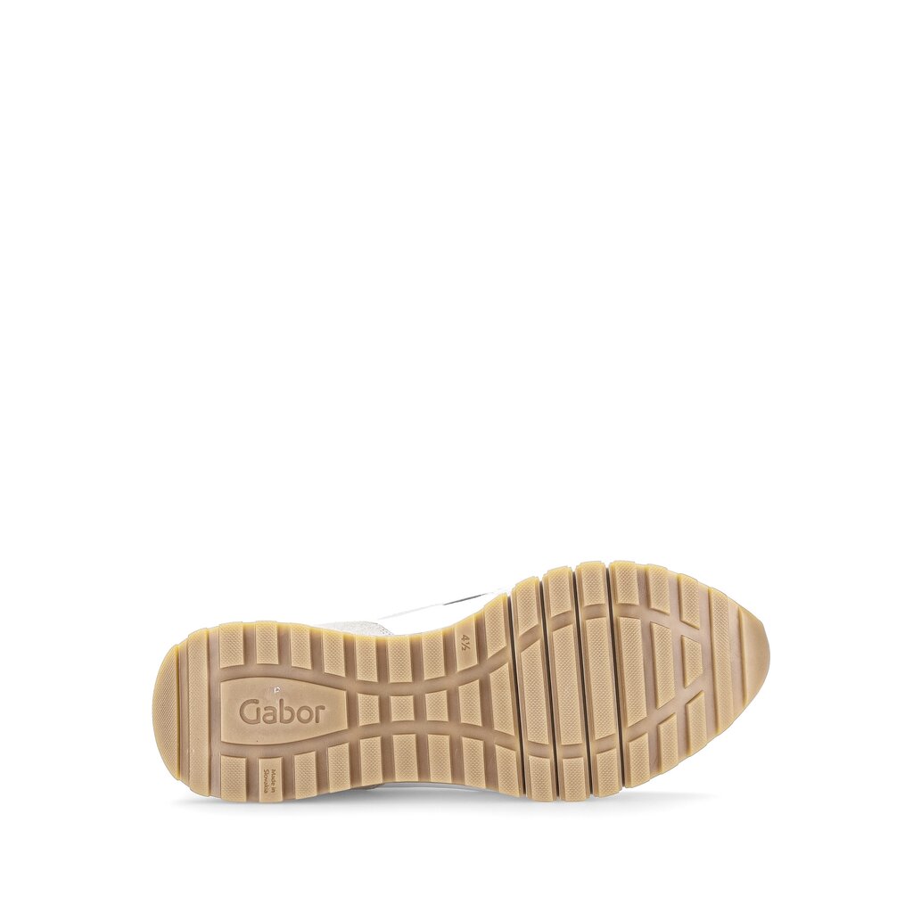 Pius Gabor Sneaker Low Multicolour