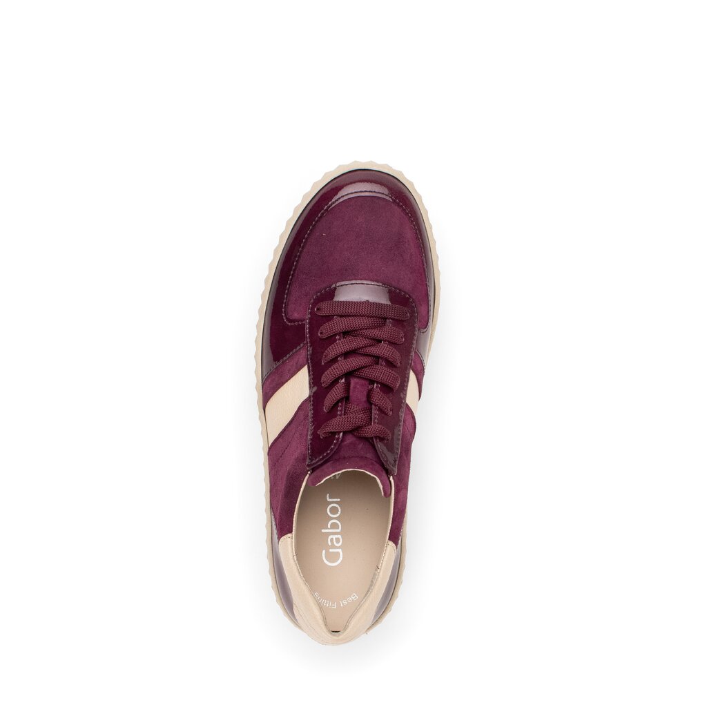 Pius Gabor Sneaker Low Rot