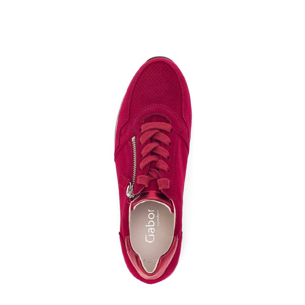 Pius Gabor Sneaker Low Rot
