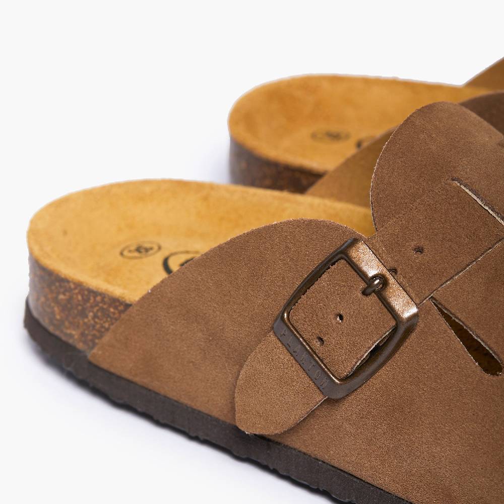 Plakton Blog Vison Afelpado