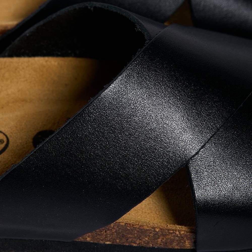 Plakton Bora Black Houston