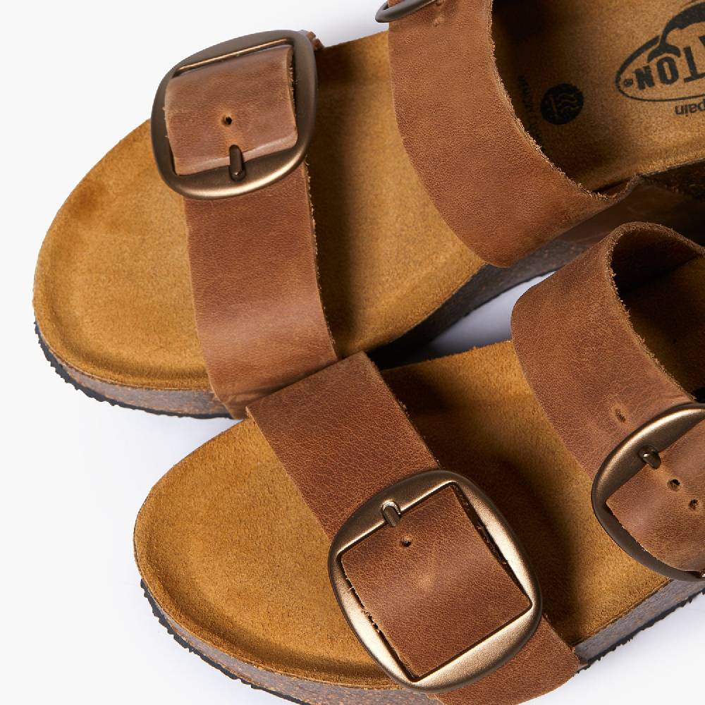 Plakton Creta Roble Apure