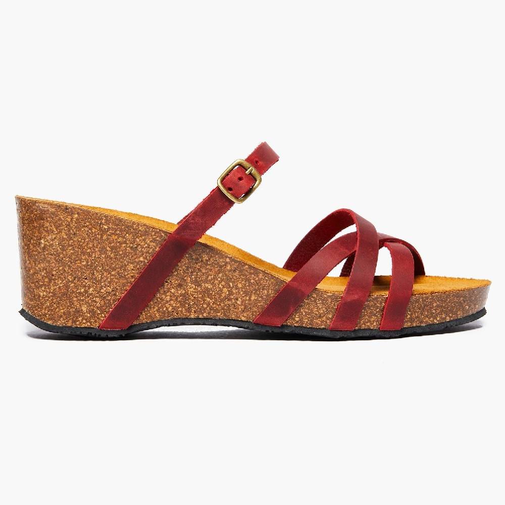 Plakton Lydi Red Apure