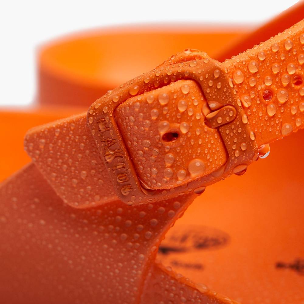 Plakton Wendy Orange