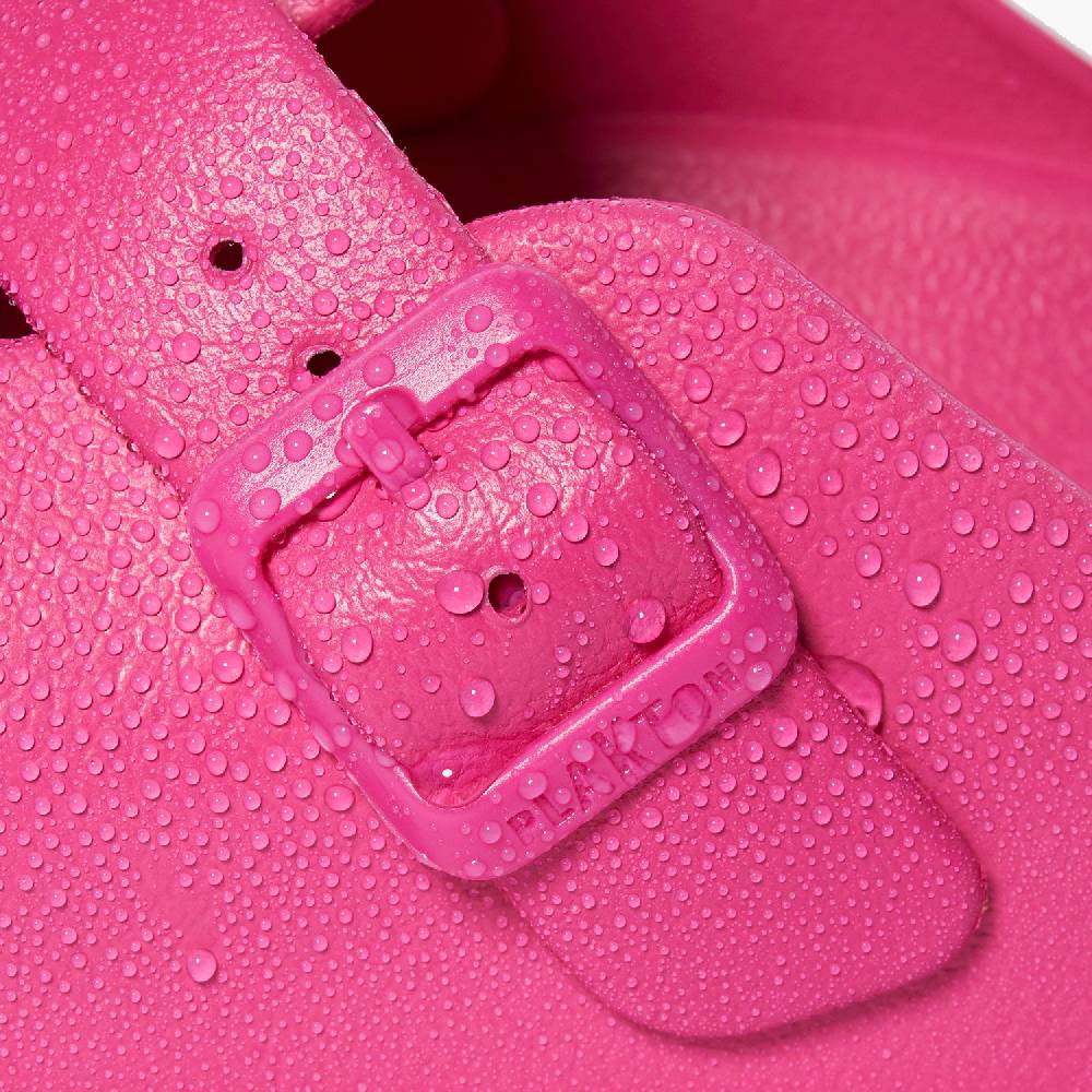 Plakton Winrar Fuxia