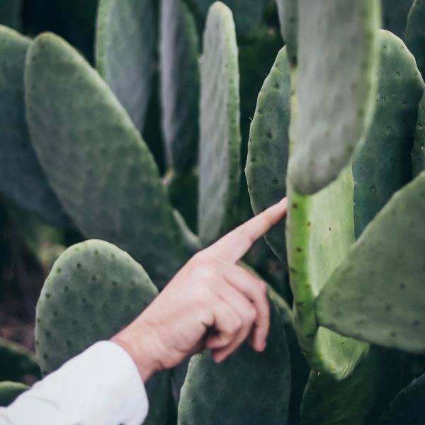 Pololo Sandale Verano Hellgrün Vegan