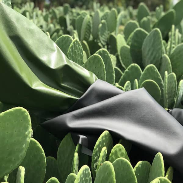 Pololo Veganer Kaktus Sneaker Schwarz