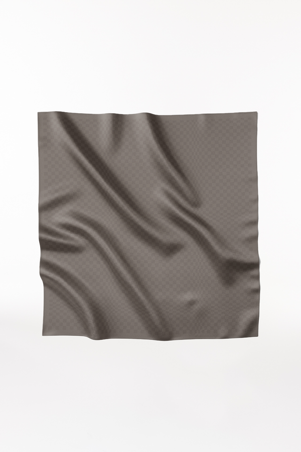 Prinz Berlin Seidentuch Illusion 123 Taupe