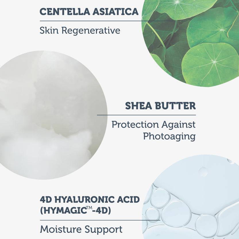 The Purest Solutions 50+ SPF Invisible UV Protection Daily Intensive Moisturizer Sunscreen (50ml)