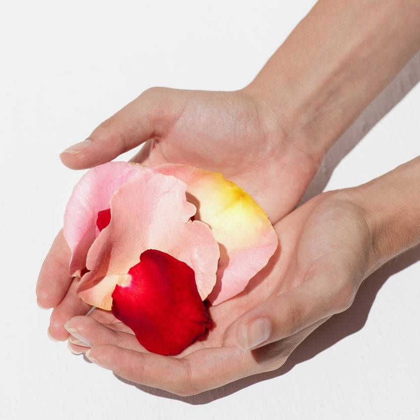 KORRES Apothecary Wild Rose Nachtcreme Für Strahlenden Teint (40ml)