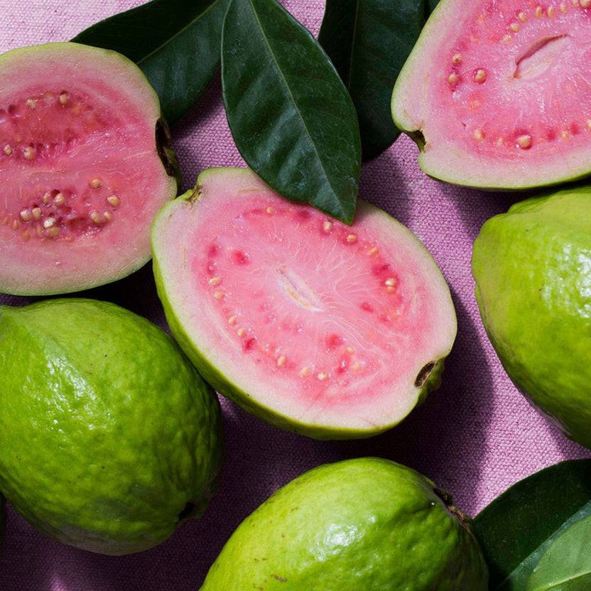 KORRES GUAVA Showergel 1+1 Set