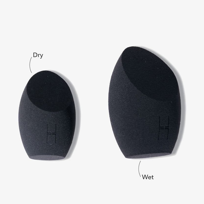 LH Cosmetics The Other Sponge